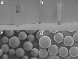 高性能聚合物乳液制備新技術及其在水性木器涂料中的使用